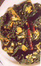 Palak Paneer